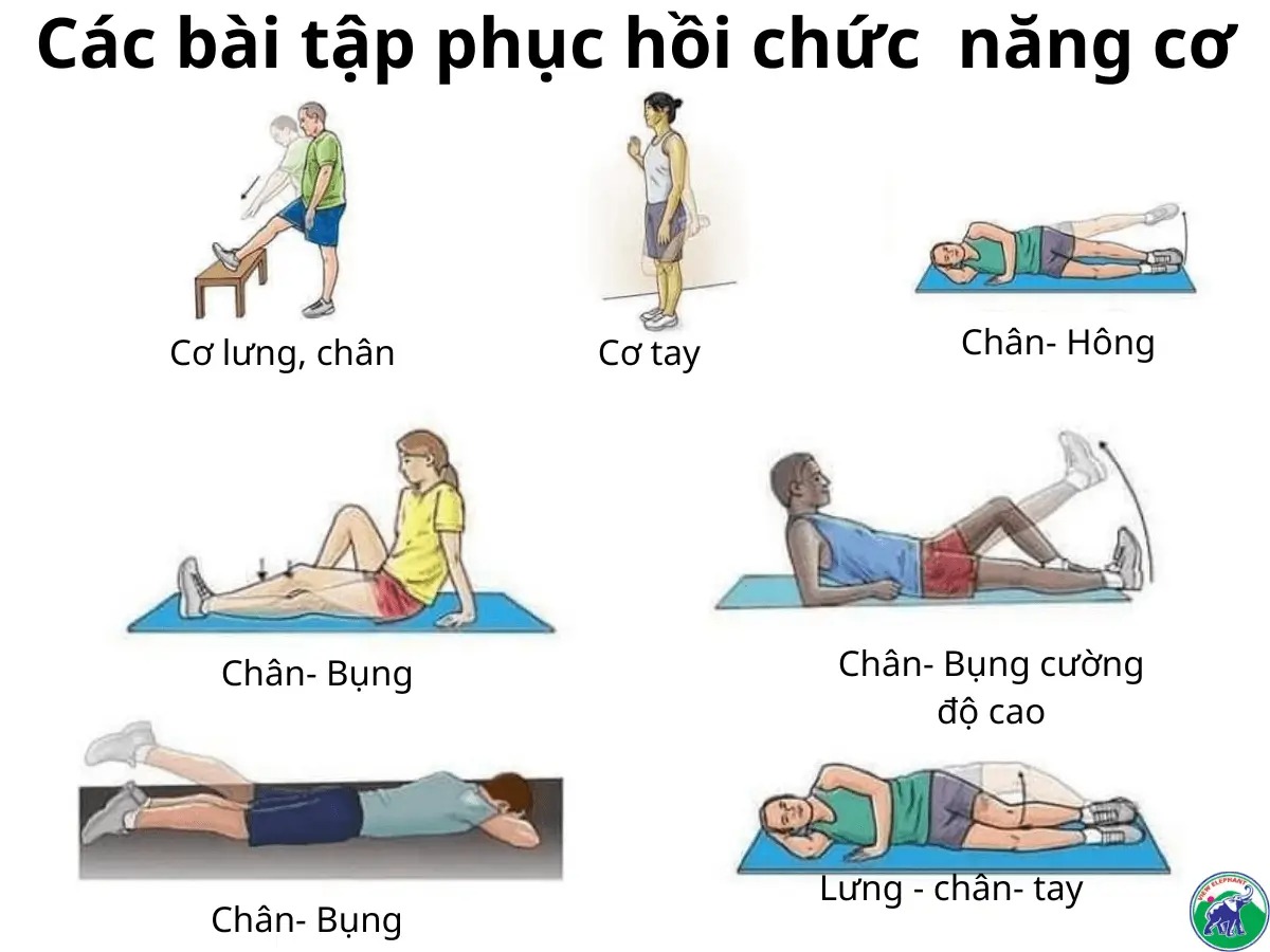 Các phương pháp phục hồi chủ động hiệu quả sau tập luyện và thi đấu