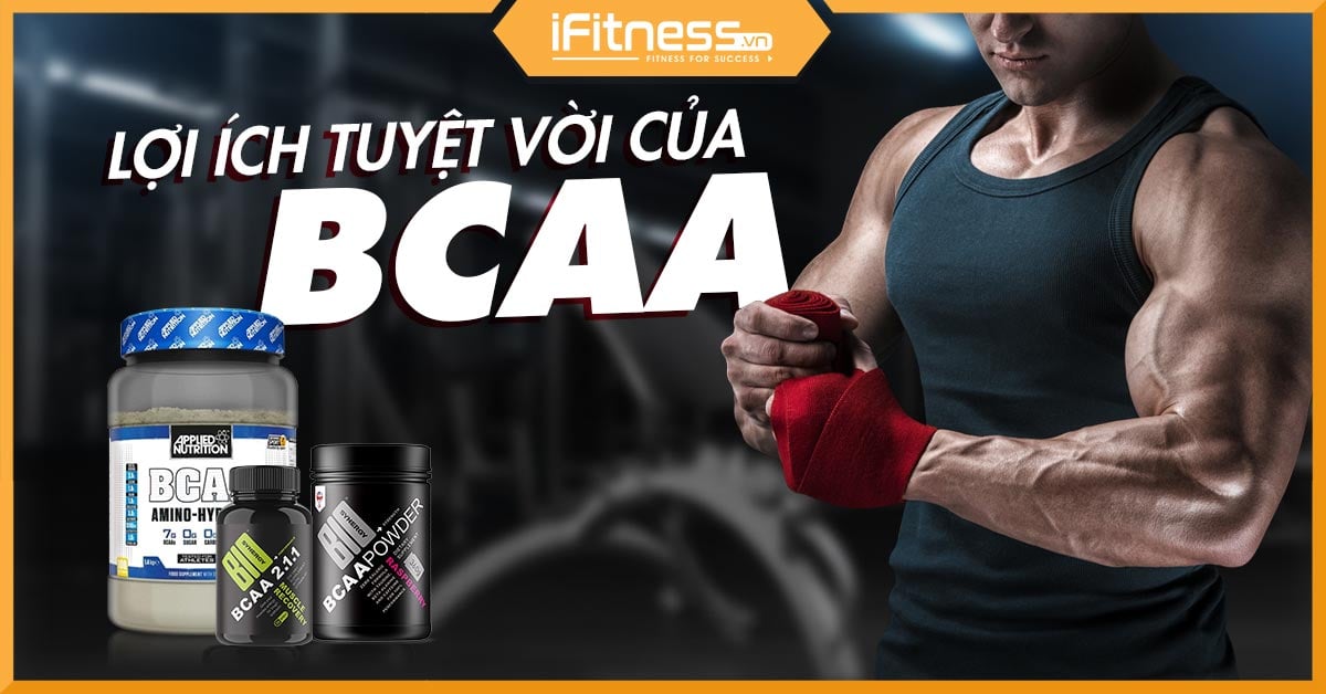 BCAA là gì và vai trò của BCAA trong quá trình phục hồi cơ bắp