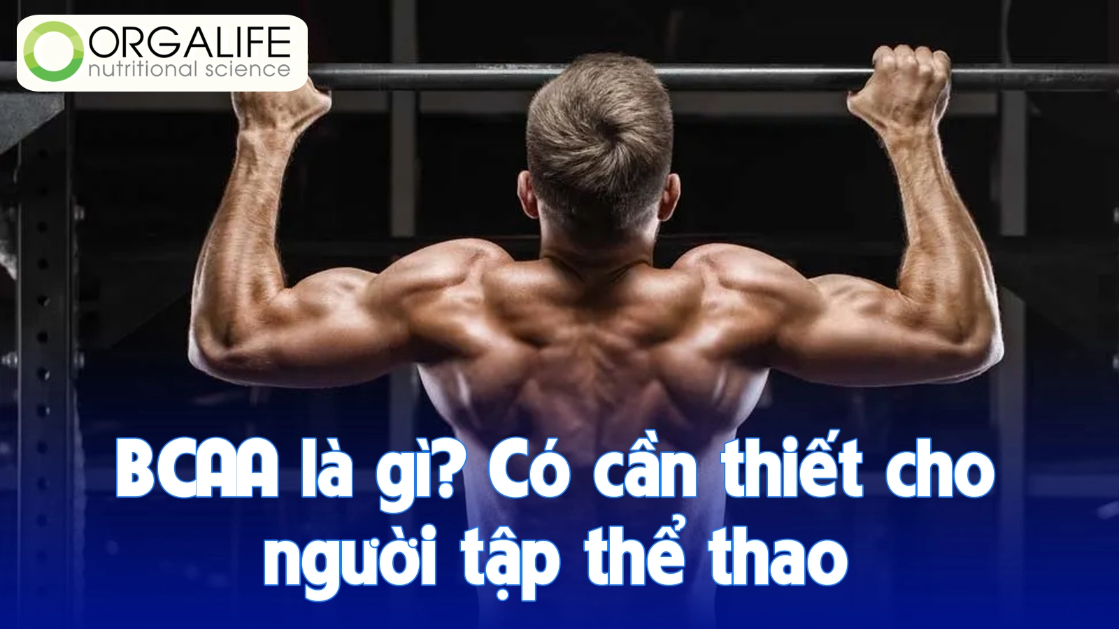Hướng dẫn sử dụng BCAA hiệu quả cho người tập thể thao