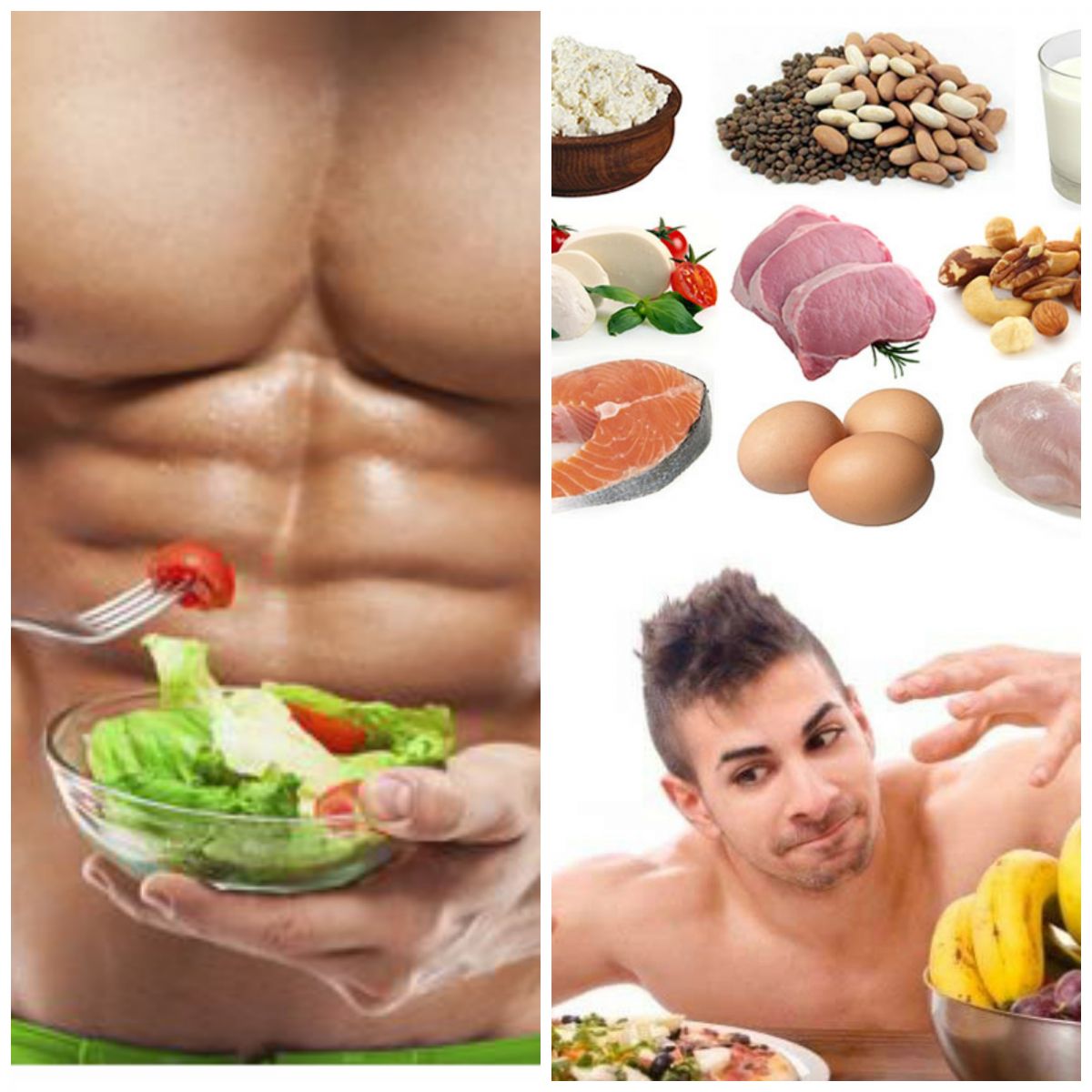 Lợi ích của việc bổ sung protein đối với hiệu suất thể thao