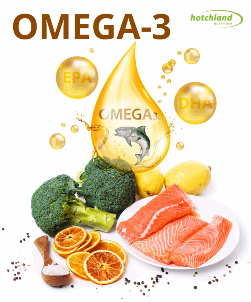 omega-3-giup-hoi-phuc-co-bap-the-nao