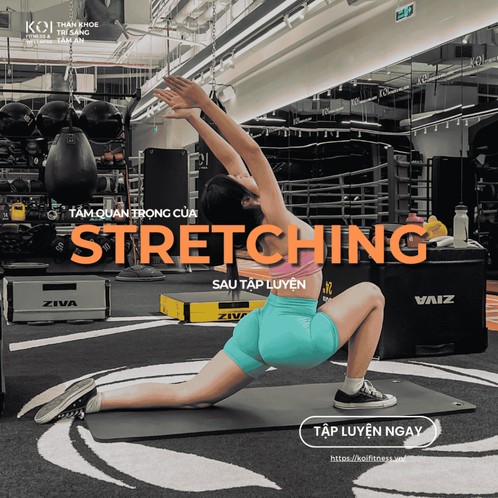 stretching-cho-nguoi-tap-ta-la-gi-va-tam-quan-trong-cua-viec-gian-co-trong-tap-luyen