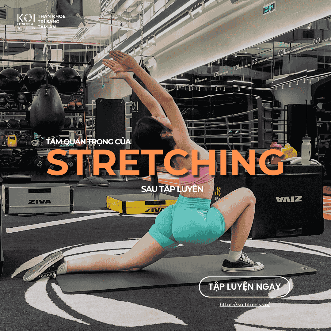 Stretching cho người tập tạ là gì và tầm quan trọng của việc giãn cơ trong tập luyện