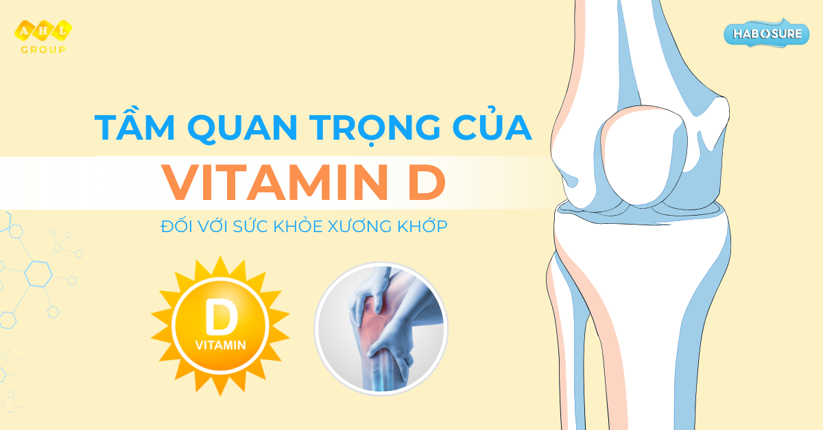 Tác động của vitamin D đối với hệ cơ xương và phục hồi chấn thương
