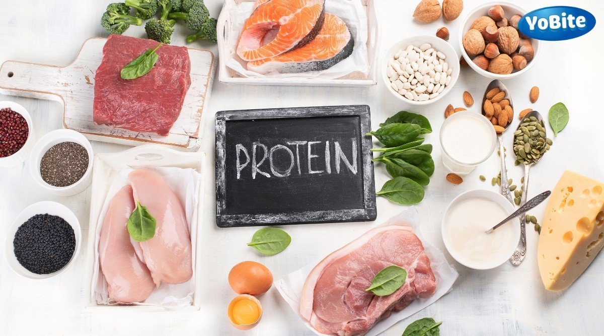 Top thực phẩm giàu protein cần bổ sung sau buổi tập